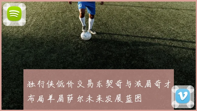 独行侠低价交易东契奇与浓眉奇才布局羊眉萨尔未来发展蓝图