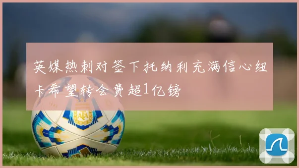 英媒热刺对签下托纳利充满信心纽卡希望转会费超1亿镑