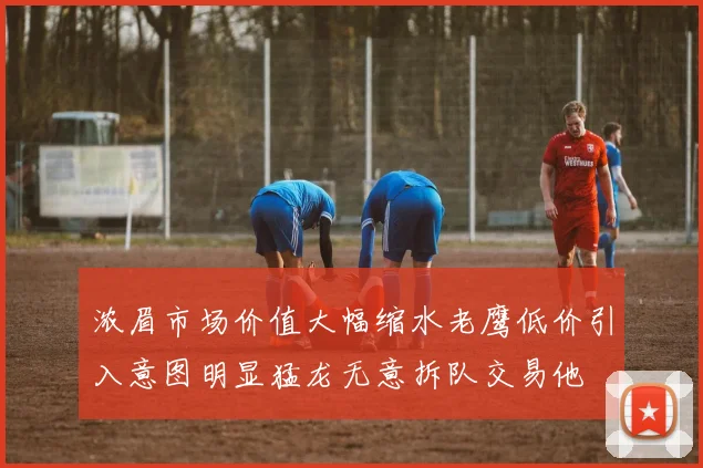 浓眉市场价值大幅缩水老鹰低价引入意图明显猛龙无意拆队交易他